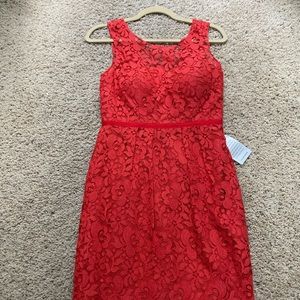 BRAND NEW JENNY YOO LACE DRESS